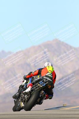 media/Jan-13-2024-SoCal Trackdays (Sat) [[9c032fe5aa]]/Turn 9 Backside (110pm)/